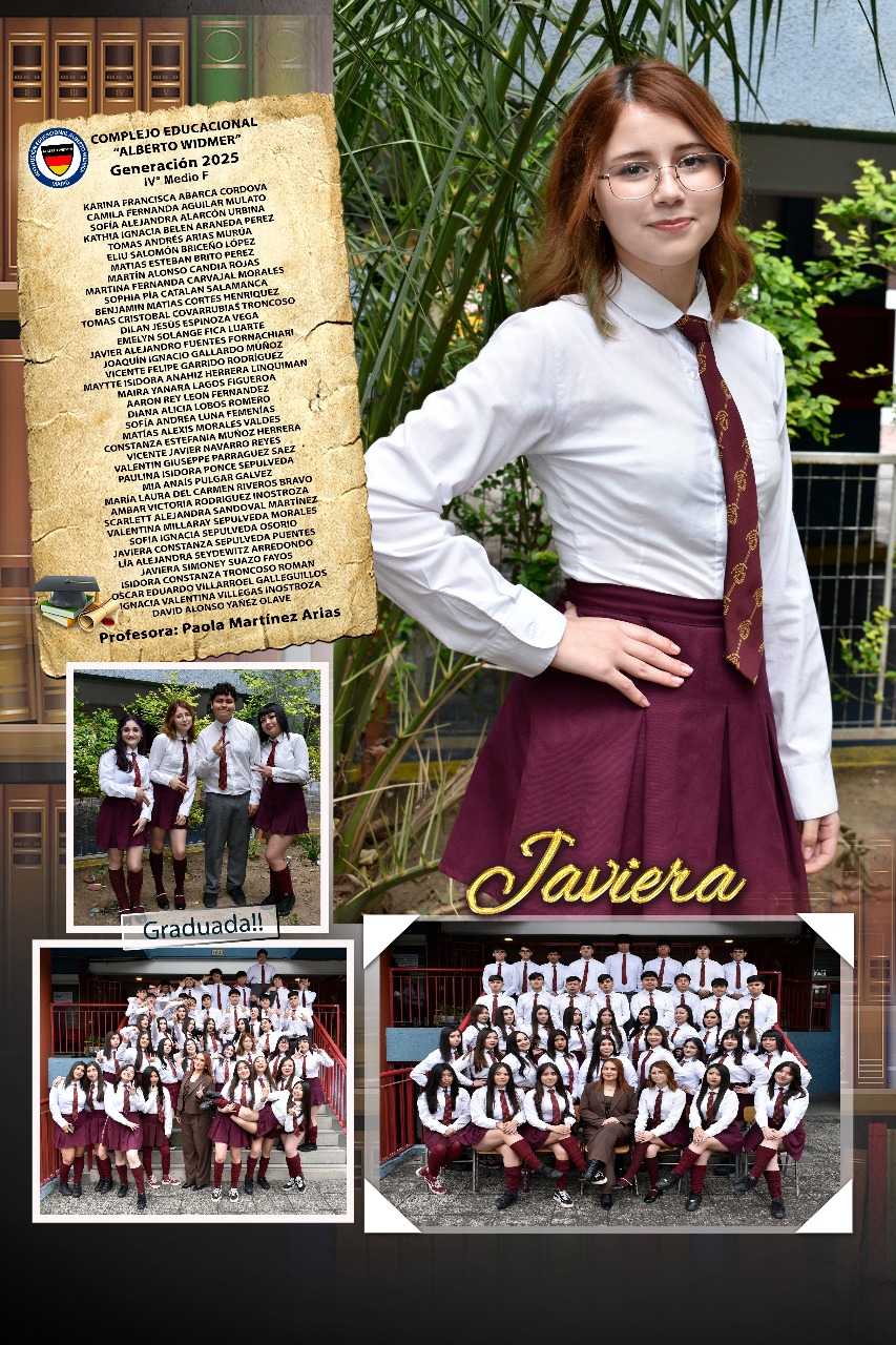 Diseño N`6