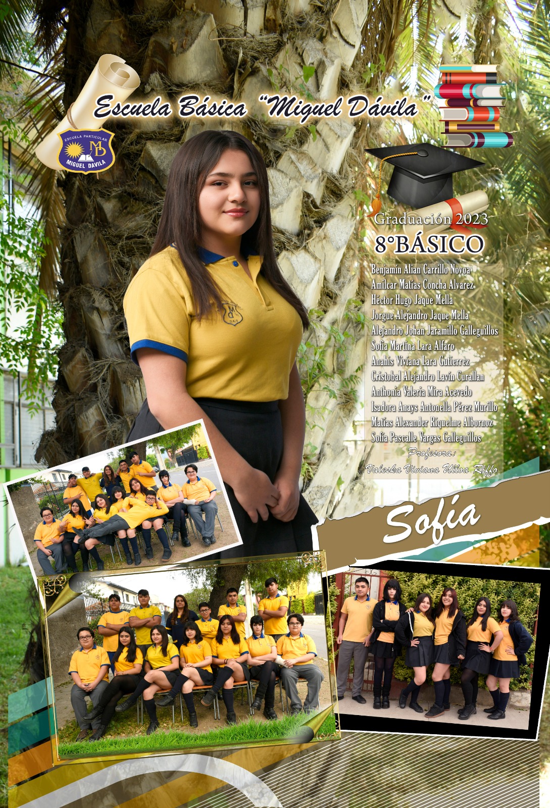 Diseño N°11