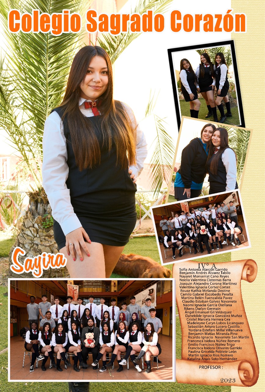 Diseño N°15