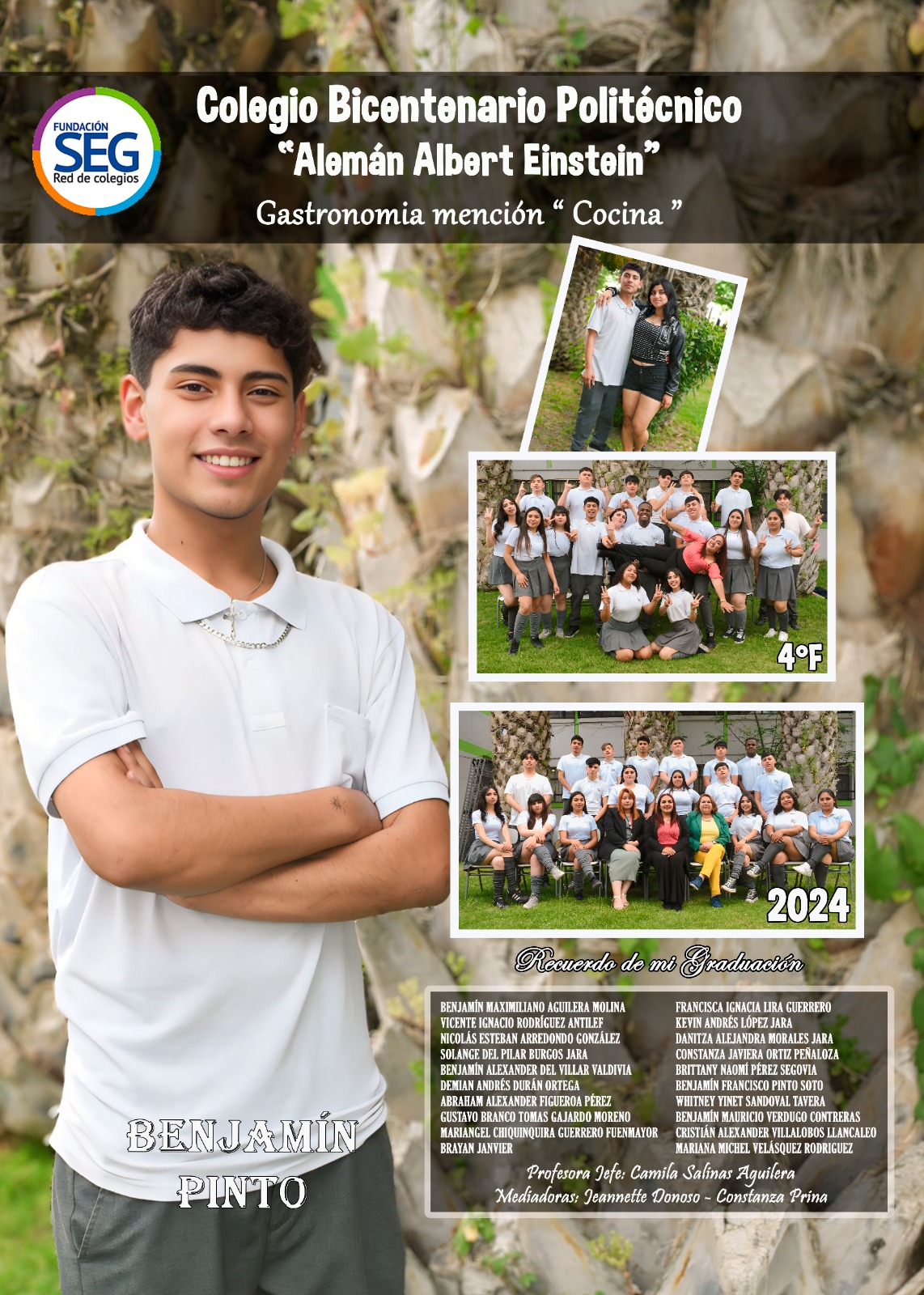 Diseño N°16
