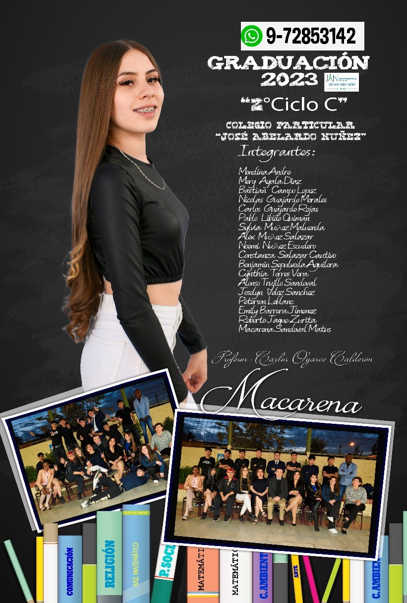 Diseño N°17