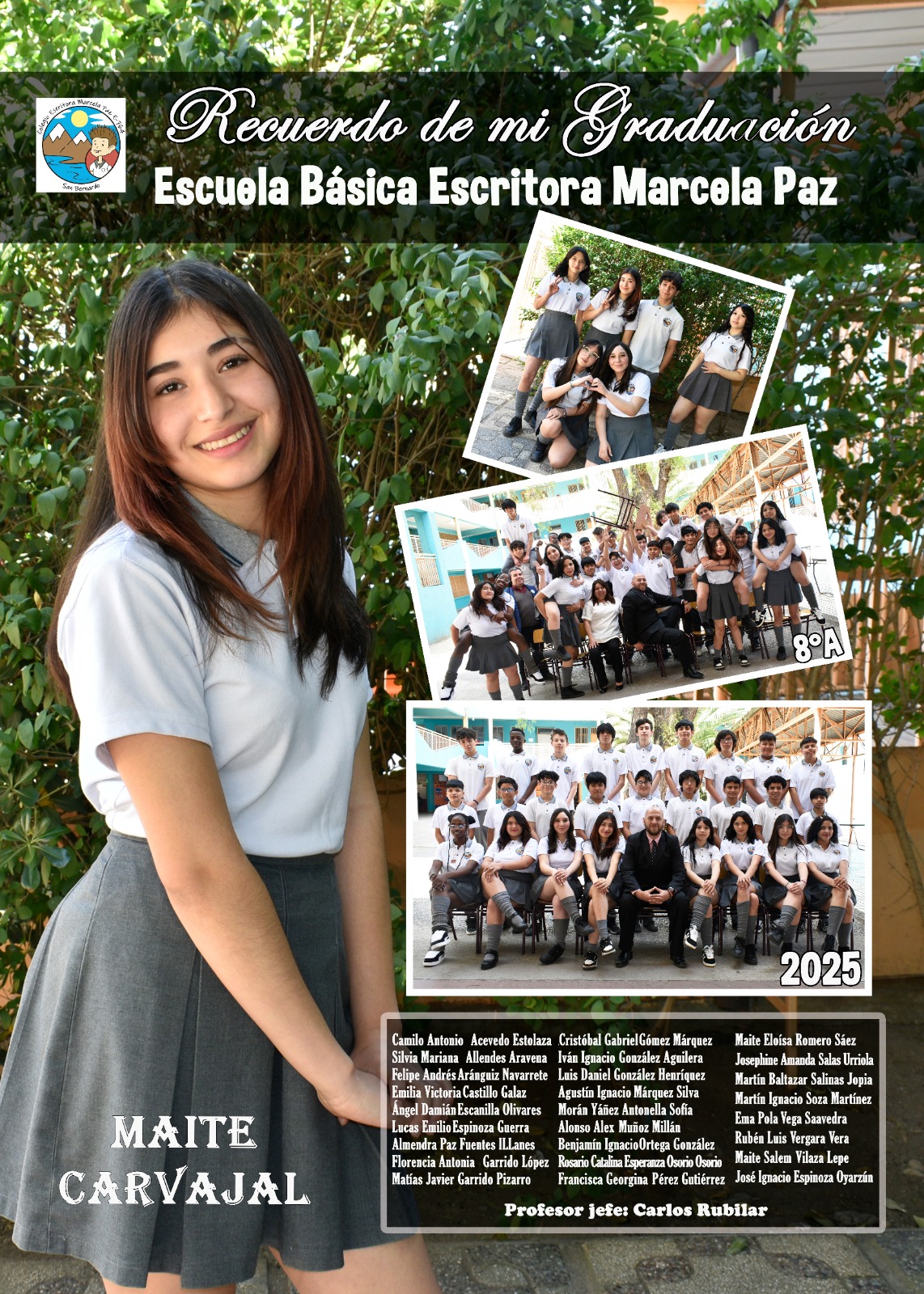Diseño N°20