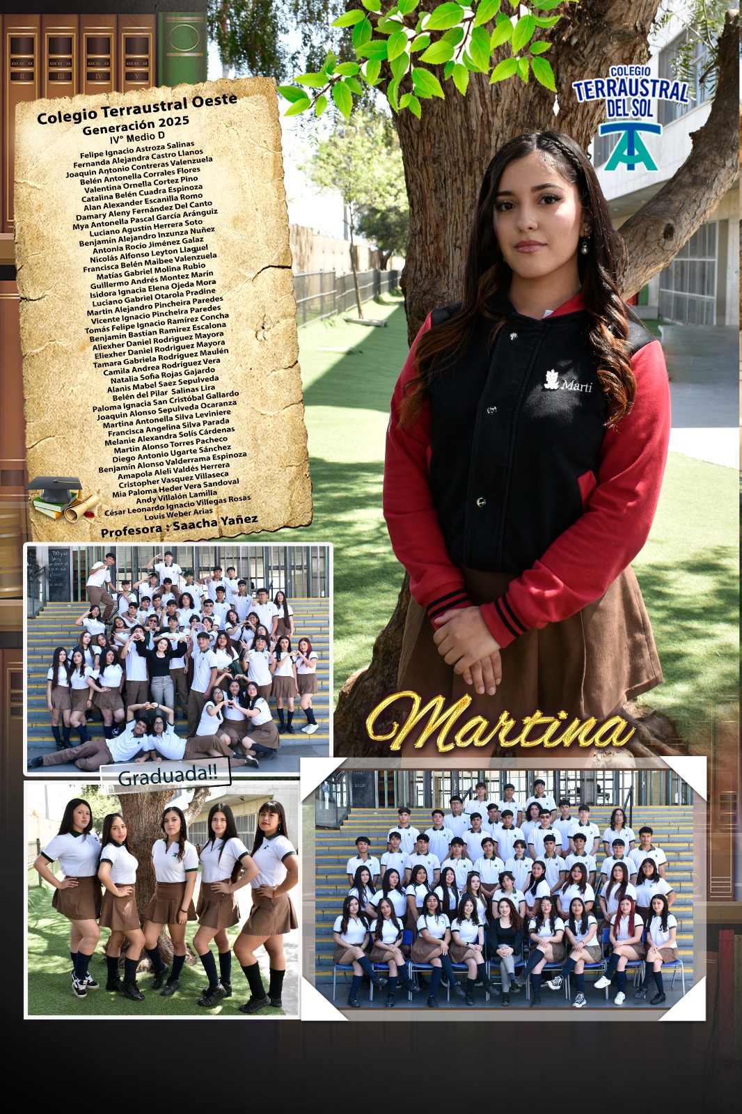 Diseño N° 22