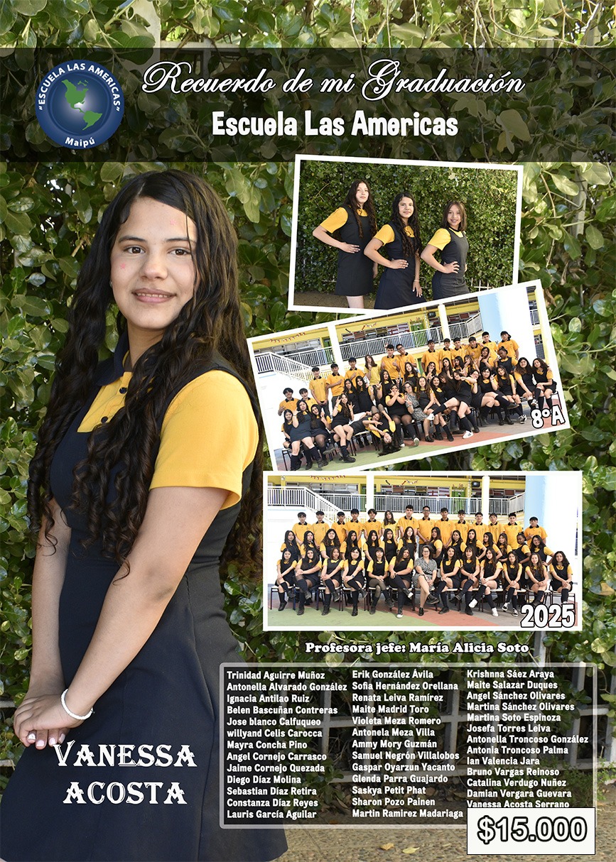 Diseño N°31